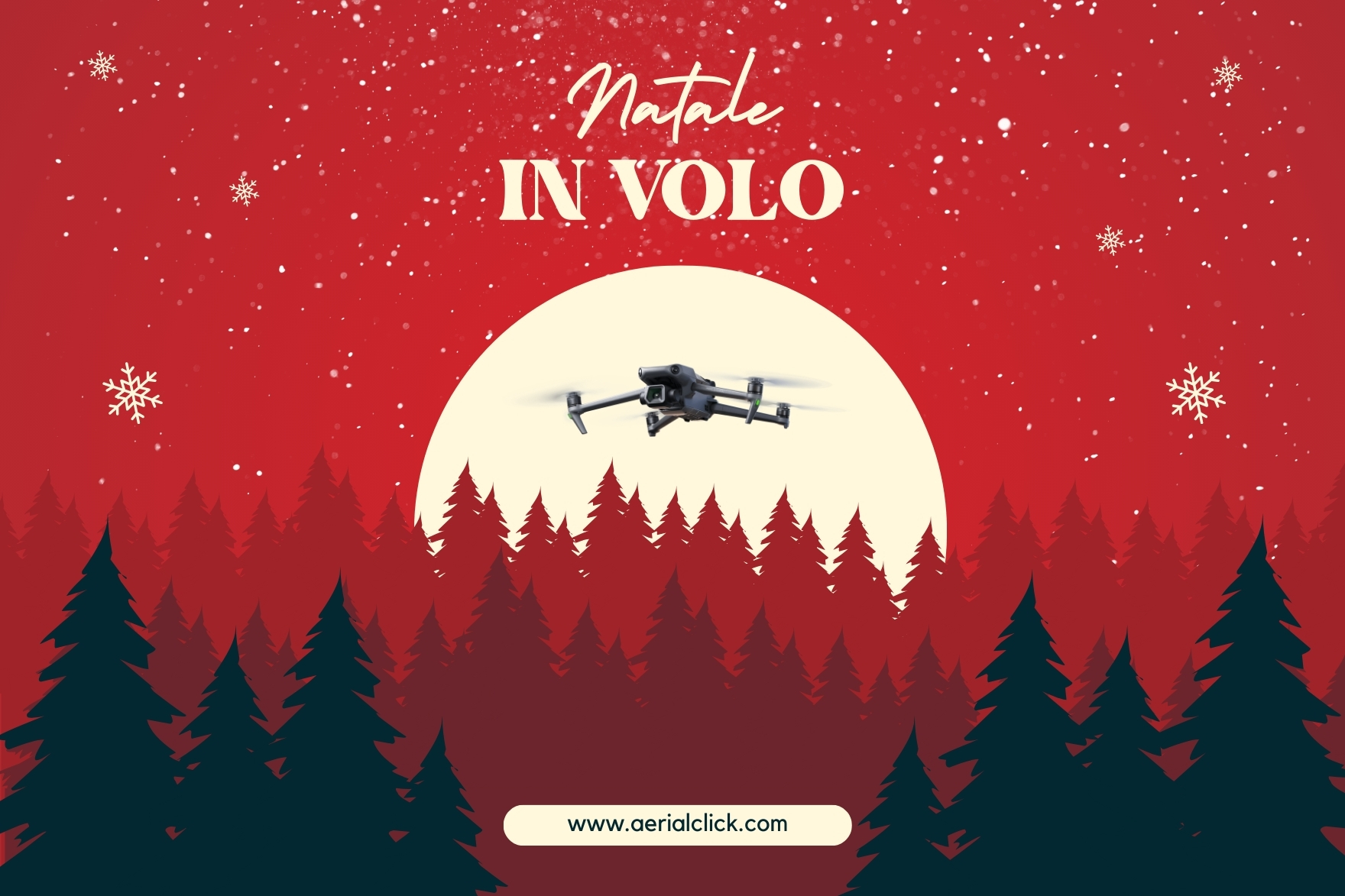 Natale in Volo: Offerte Natalizie su Aerialclick